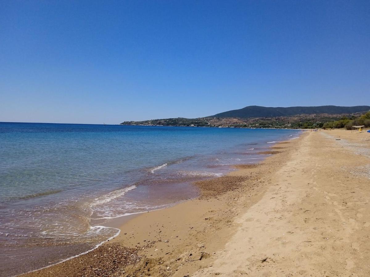 Koroni Stone House, Newly Built Studios By The Sea 외부 사진